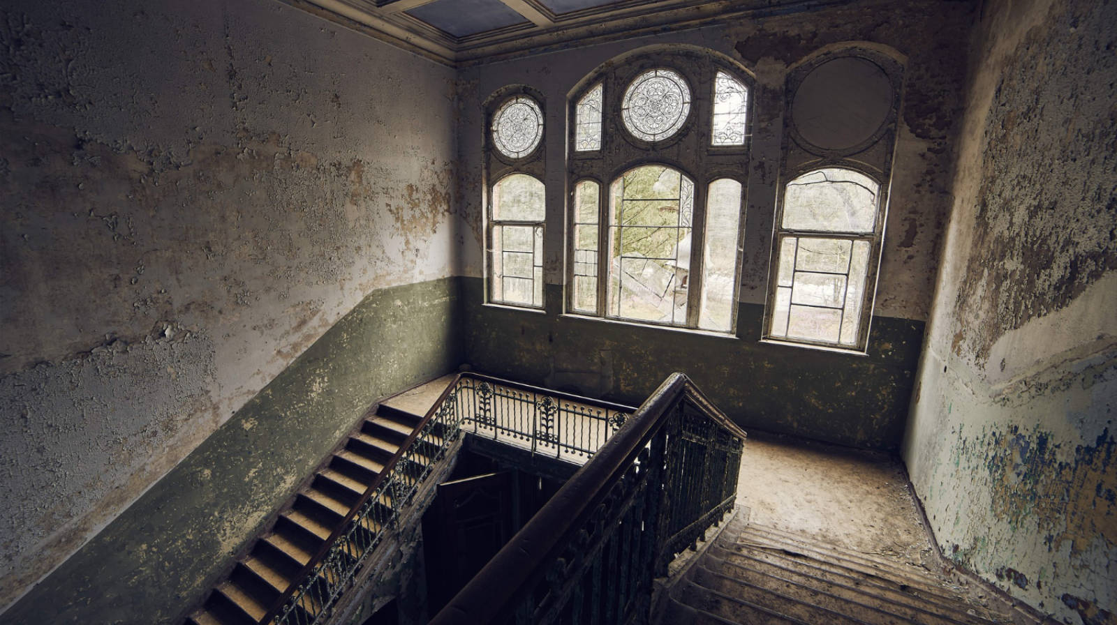 Header Image