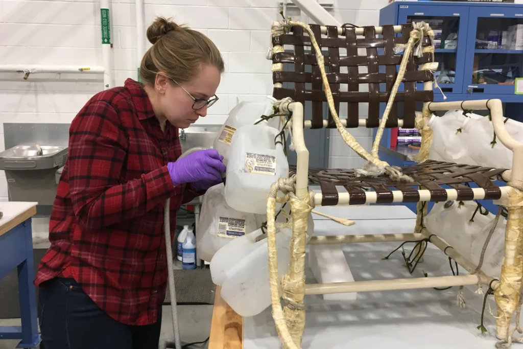 Konserwacja krzesła Larry'ego Waltersa