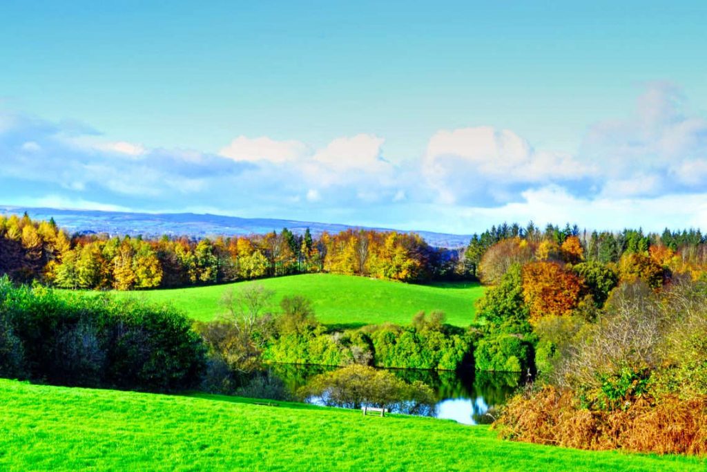 Rossmore Forest Park