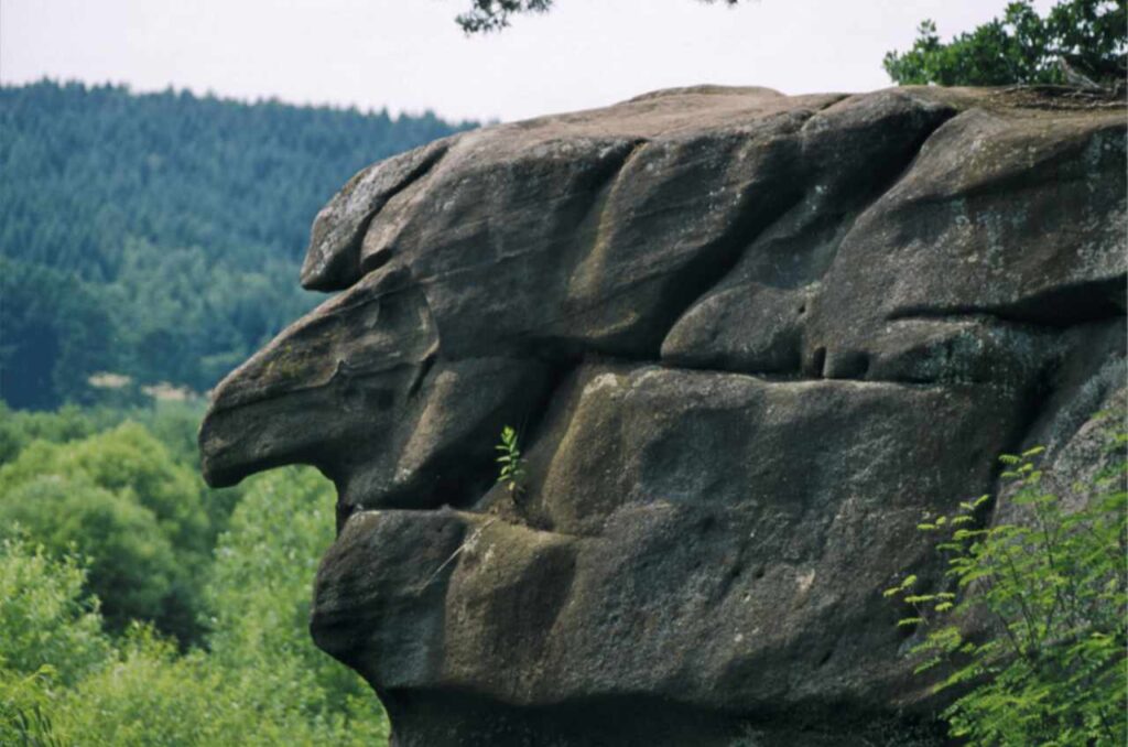 Rezerwat „Skamieniałe Miasto” – Ciężkowice