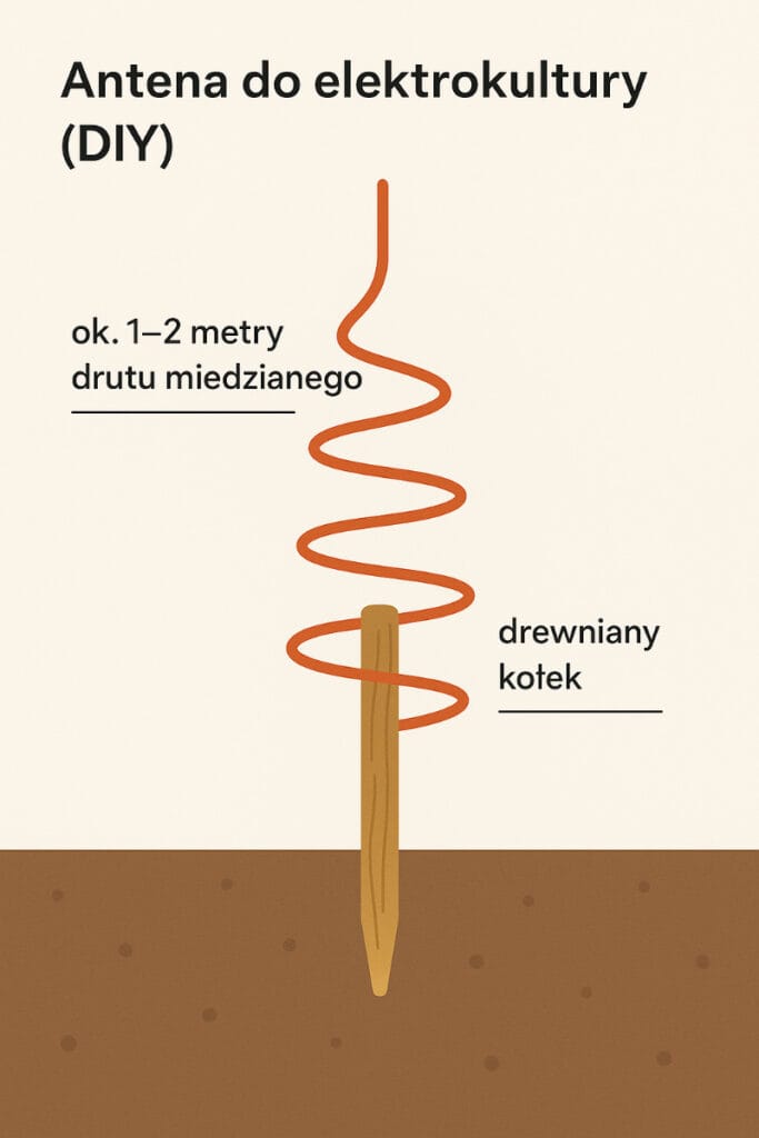 Antena agrokultury