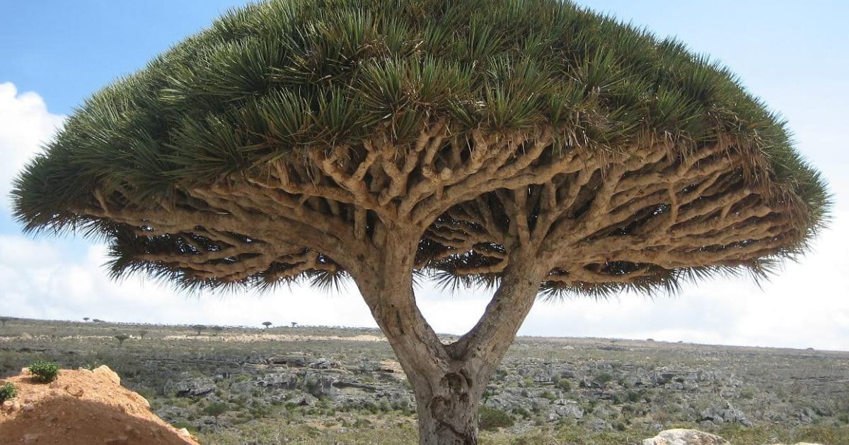 10 Niesamowitych Ciekawostek Podróżniczych, Które Zmienią Twoje Spojrzenie na Świat